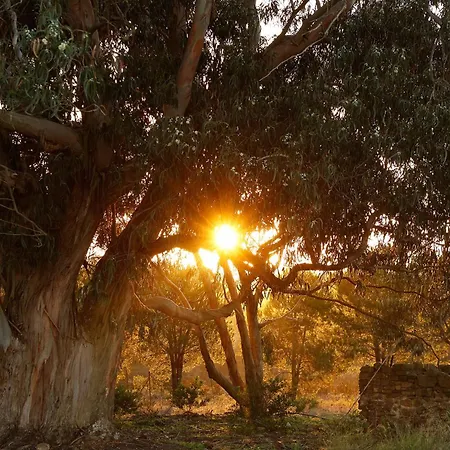 מלון Do Canal Nature Retreat - Small Luxury Of The World אלג'זור
